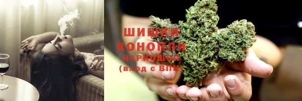 шишки Алексин