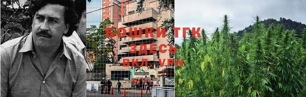меф VHQ Дмитриев