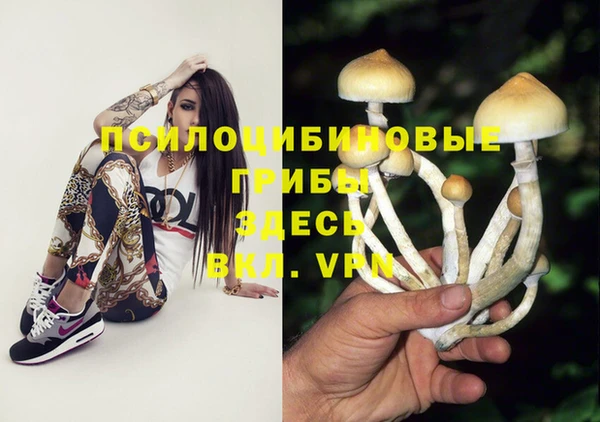 экстази Алзамай