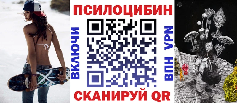 где найти наркотики  Петровск-Забайкальский  Галлюциногенные грибы прущие грибы 